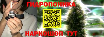 скорость Кинель