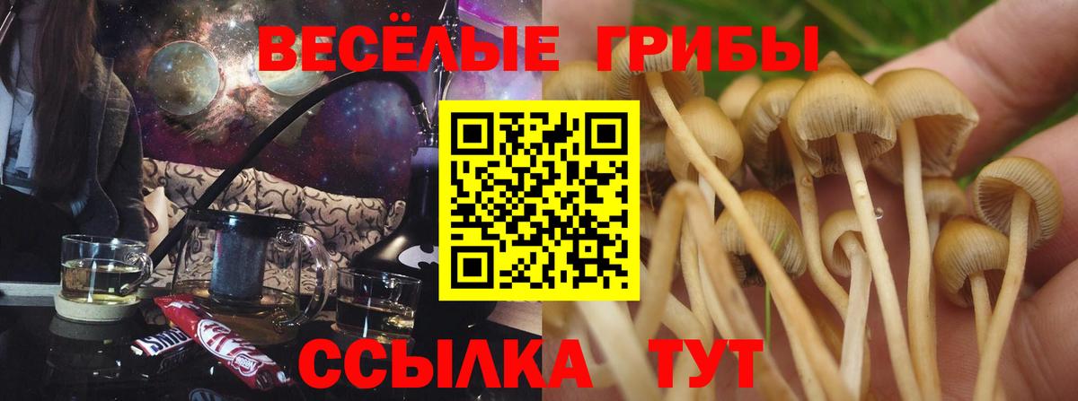 Краснодар  Галлюциногенные грибы мицелий  Галлюциногенные грибы прущие грибы  Вход с VPN 