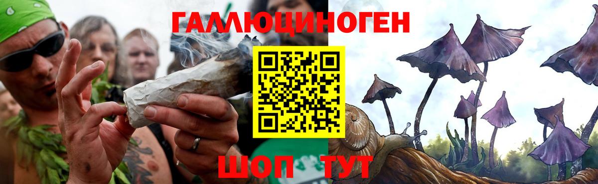 Псилоцибиновые грибы Cubensis Краснодар